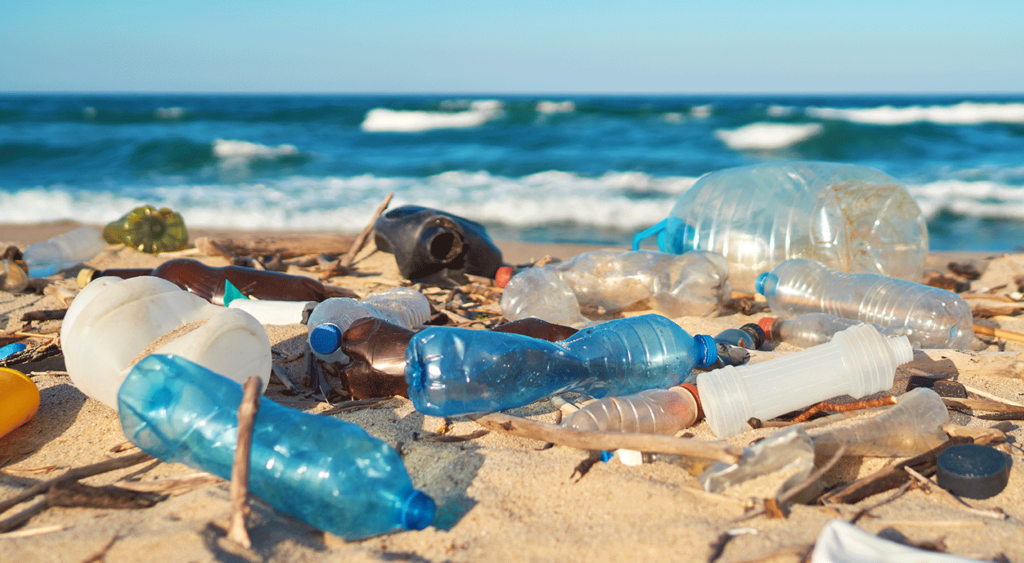 Alt = Plastic wastes washed off on the bank of a river